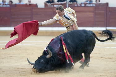 Stierkampf, Alcalá de Henares
