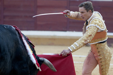 Stierkampf, Alcalá de Henares