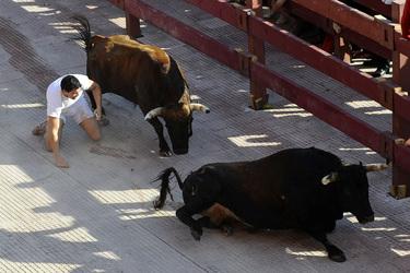 Stierlauf, Alcalá de Henares