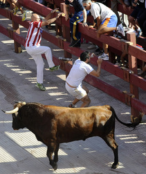 Stierlauf, Alcalá de Henares