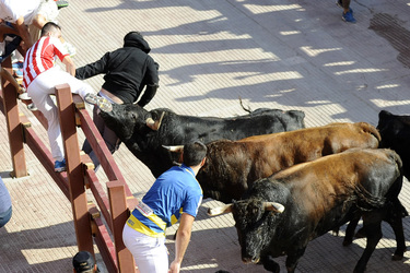 Stierlauf, Alcalá de Henares