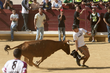 Stierlauf, Alcalá de Henares