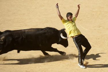 Stierlauf, Alcalá de Henares