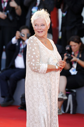 'Philomena' Premiere, Biennale 2013