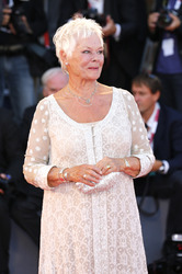 'Philomena' Premiere, Biennale 2013