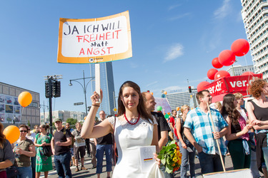 'Freiheit statt Angst 2013' Demonstration, Berlin