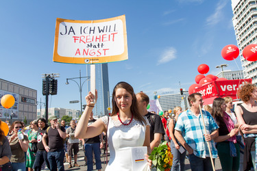 'Freiheit statt Angst 2013' Demonstration, Berlin