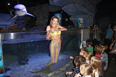 Photocall mit Anne Menden, Berlin