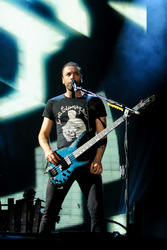 Austin City Limits Festival 2013