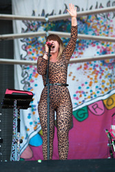 Austin City Limits Festival 2013