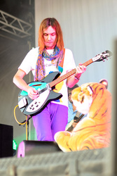 Austin City Limits Festival 2013