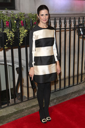 BFI Luminous Gala, BFI London Film Festival 2013