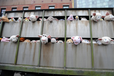 Banksy Art in New York