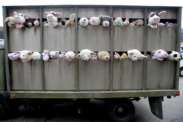 Banksy Art in New York