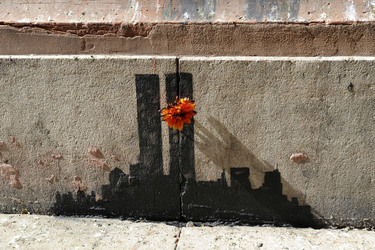 Banksy Street Art, New York
