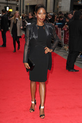 'The Invisible Woman' Premiere, BFI London Film Festival 2013
