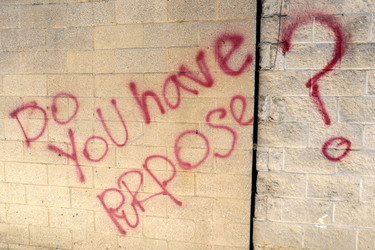Banksy Art in New York
