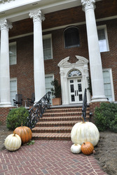 'The Vampire Diaries- Mystic Falls'-Tour, Covington