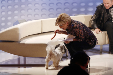 'Willkommen bei Carmen Nebel' TV-Show, Magdeburg