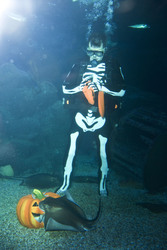 Halloween im AquaDom & Sea Life Berlin