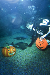 Halloween im AquaDom & Sea Life Berlin