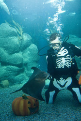 Halloween im AquaDom & Sea Life Berlin