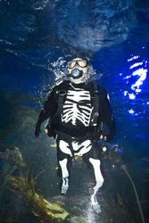 Halloween im AquaDom & Sea Life Berlin