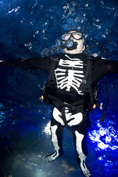 Halloween im AquaDom & Sea Life Berlin