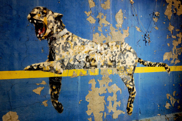 Banksy Art in New York
