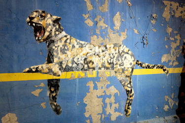 Banksy Art in New York