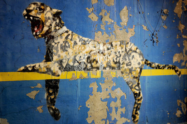 Banksy Art in New York