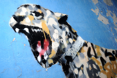 Banksy Art in New York