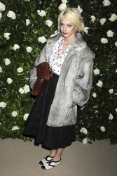 The Museum of Modern Art 2013 Film Benefit: A Tribute to Tilda Swinton, New York