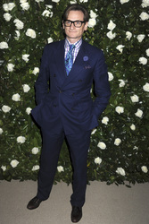 The Museum of Modern Art 2013 Film Benefit: A Tribute to Tilda Swinton, New York