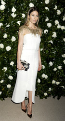 The Museum of Modern Art 2013 Film Benefit: A Tribute to Tilda Swinton, New York