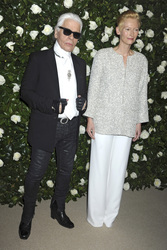 The Museum of Modern Art 2013 Film Benefit: A Tribute to Tilda Swinton, New York