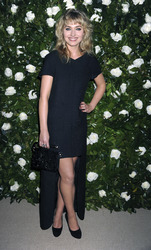 The Museum of Modern Art 2013 Film Benefit: A Tribute to Tilda Swinton, New York