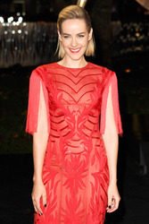 'Die Tribute von Panem - Catching Fire' Premiere, London