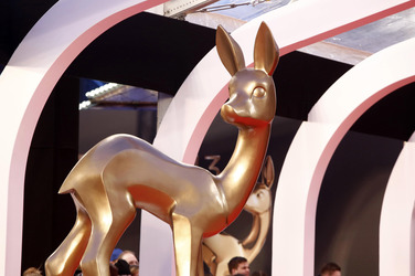 Am roten Teppich beim Bambi 2013