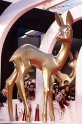 Am roten Teppich beim Bambi 2013