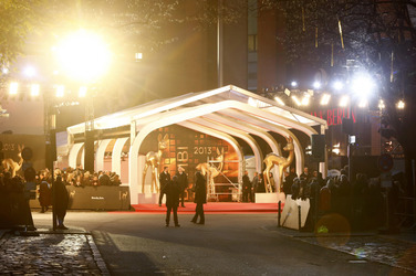 Am roten Teppich beim Bambi 2013