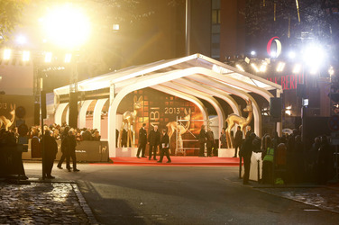 Am roten Teppich beim Bambi 2013