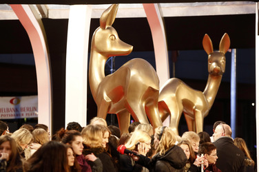 Am roten Teppich beim Bambi 2013
