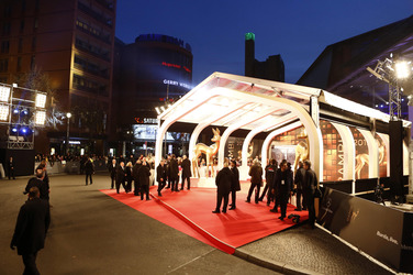 Am roten Teppich beim Bambi 2013