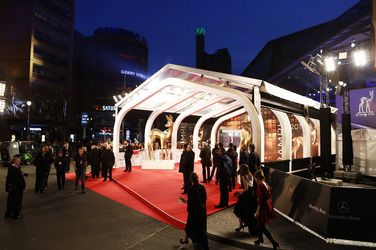Am roten Teppich beim Bambi 2013
