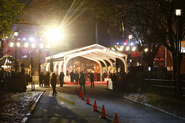 Am roten Teppich beim Bambi 2013