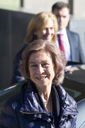 Krankenbesuch bei König Juan Carlos, Pozuelo de Alarcon