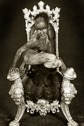 20 Jahre Düsterwald Jubiläum, Hameln