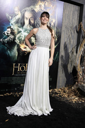 'Der Hobbit - Smaugs Einöde' Premiere, Los Angeles