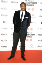 Moet British Independent Film Awards 2013, London